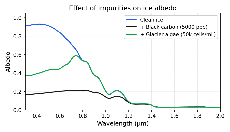How impurities reduce spectral albedo — clean vs black carbon vs algae